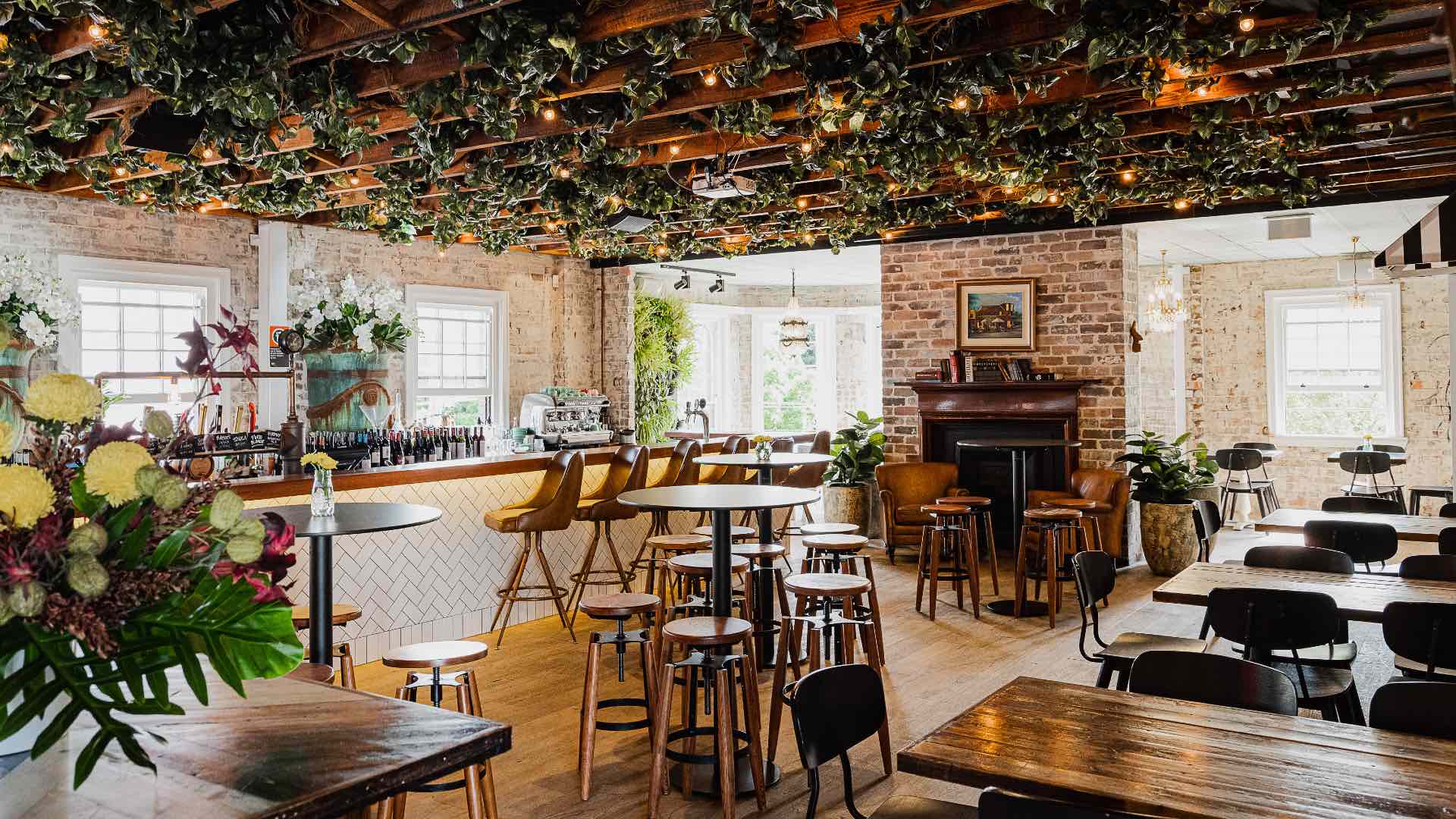 Photo of Rose of Australia Erskineville