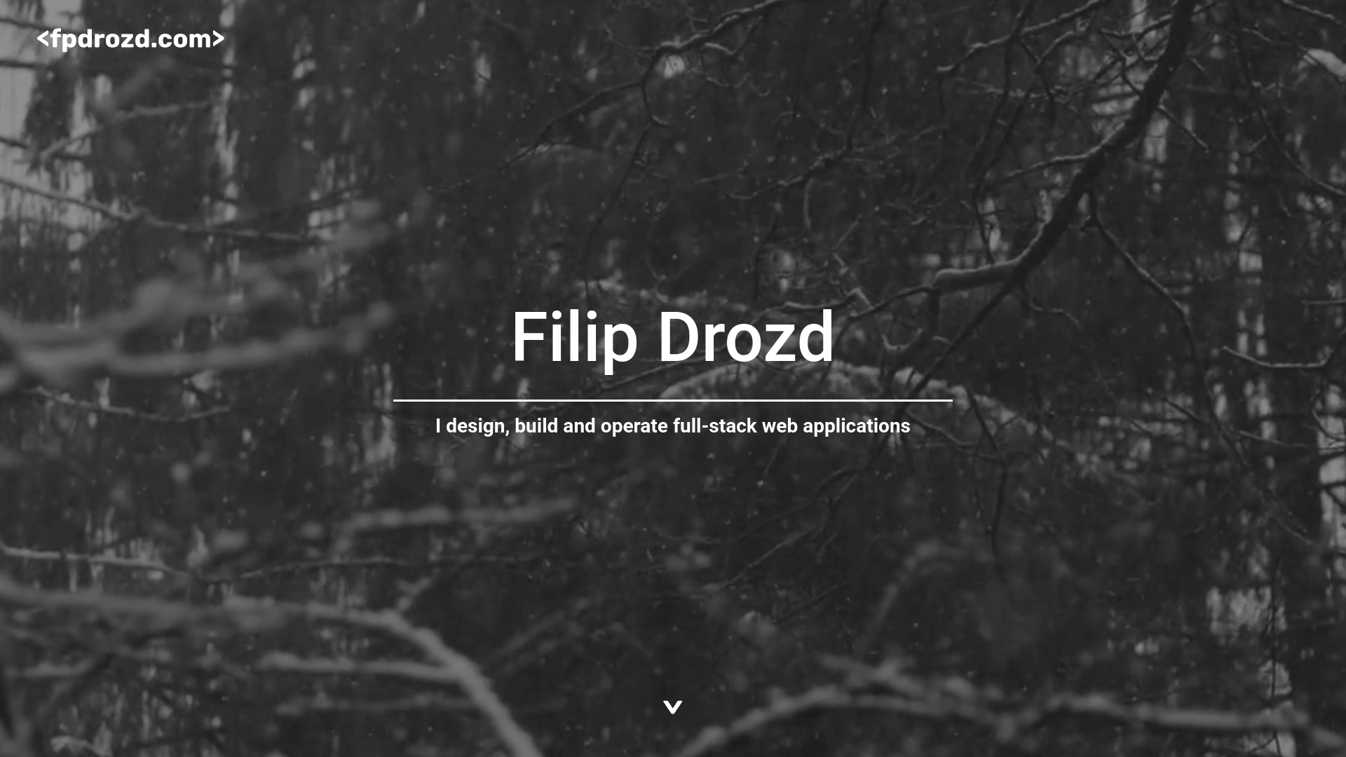 Filip Drozd landing page