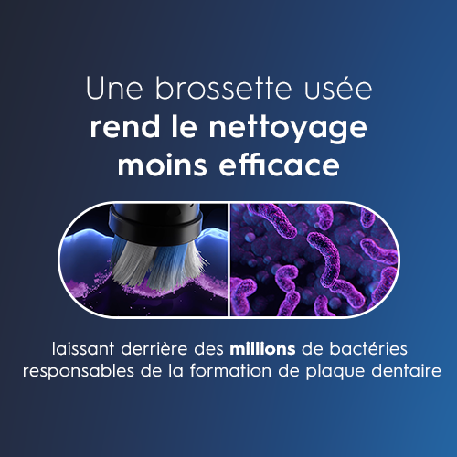 Oral-B Brandstore ToothbrushHeads 3 mobile