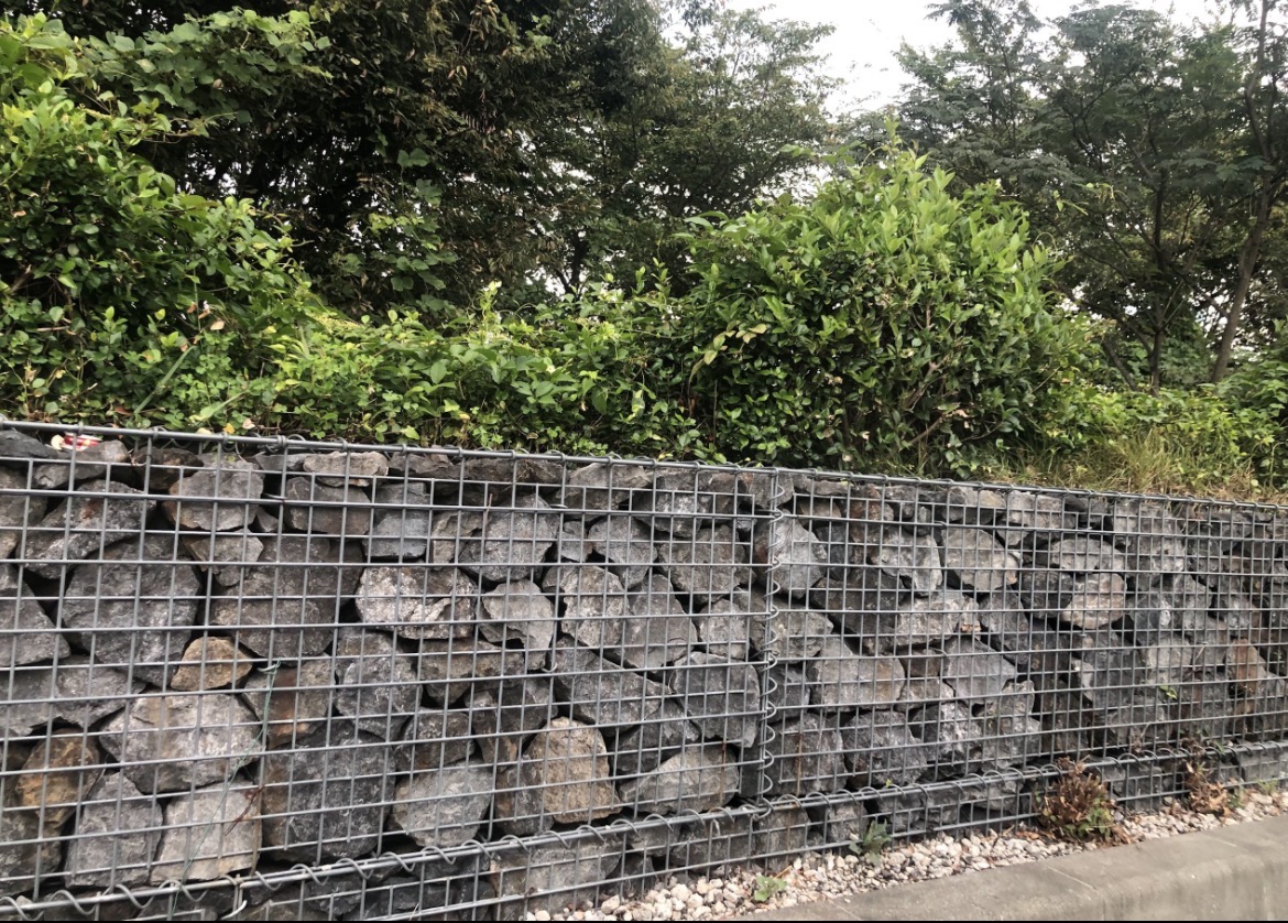 サウナを連想してしまう非サウナの日常風景｜蒸され人の生態#1