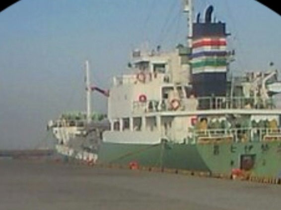 エロフィン探して三千里