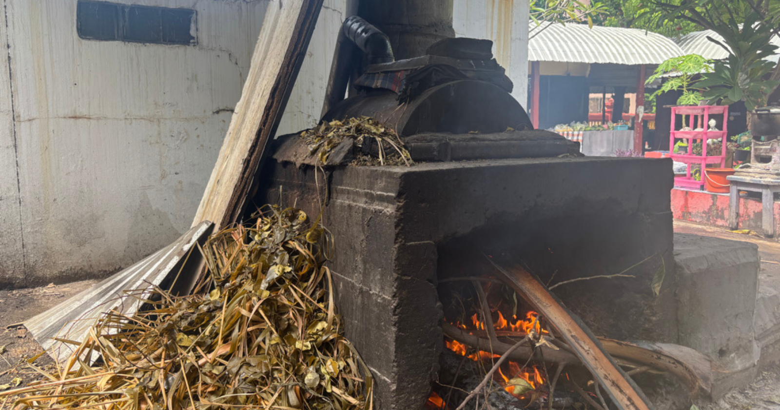 祈りの横にある蒸気─タイ・イサーン地方の薬草サウナで出会った、ととのいの原体験