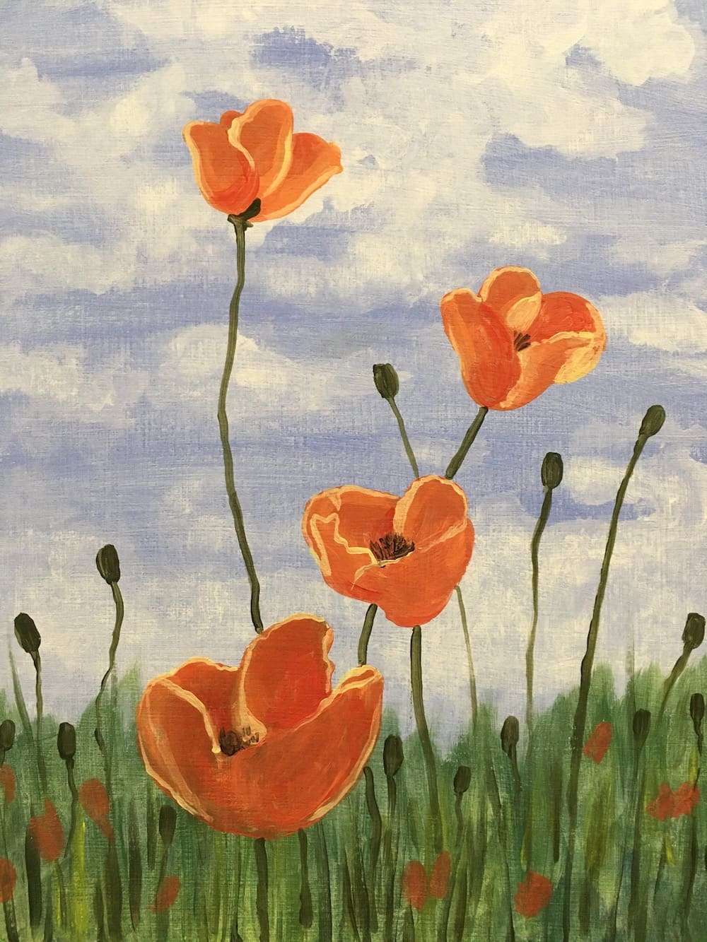 Poppies