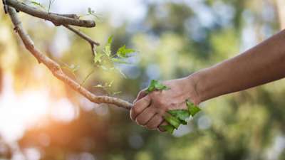 Cost and carbon footprint in development phase