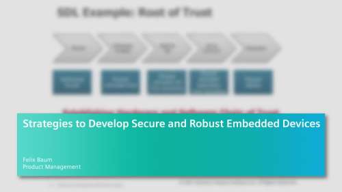Strategies to Develop Secure and Robust Embedded Devices