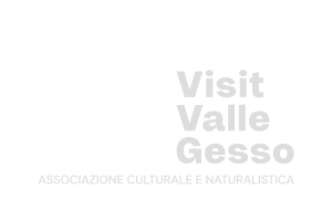 Visit Valle Gesso logo