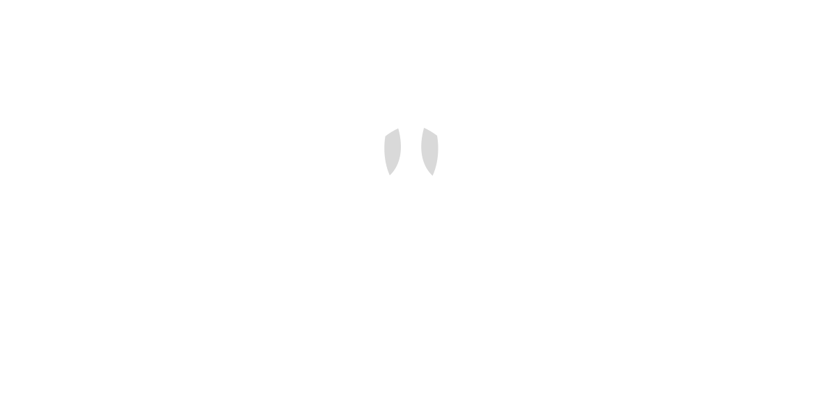 Diego Viada logo
