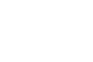 Scenic Vision Studio logo