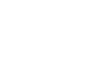 Lisa Lussignoli logo