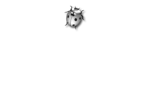 Calligaris Pubblicità logo