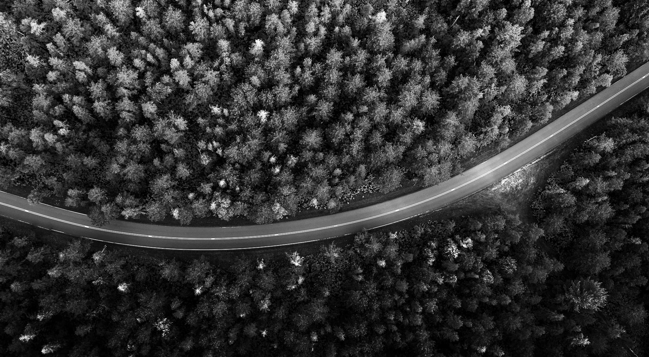 Legacy Sansoro Blog Header