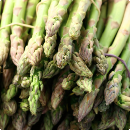Asparagus facts
