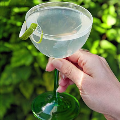 Spicy Lime Martini