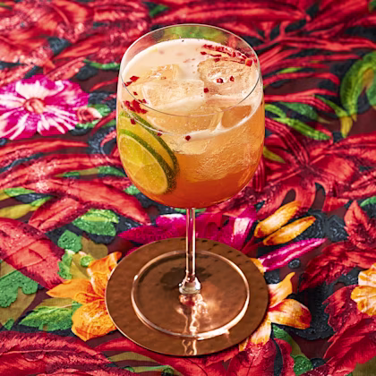 Pomegranate and Tamarind Spritz
