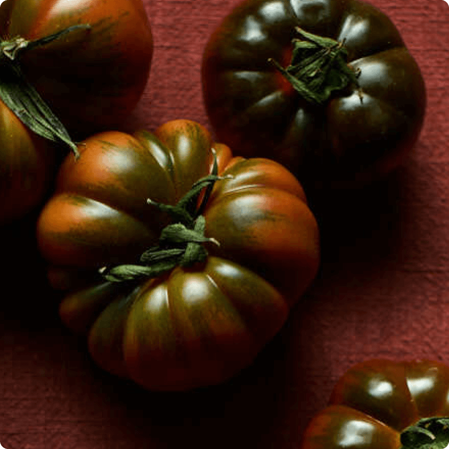 Winter Tomato Varieties