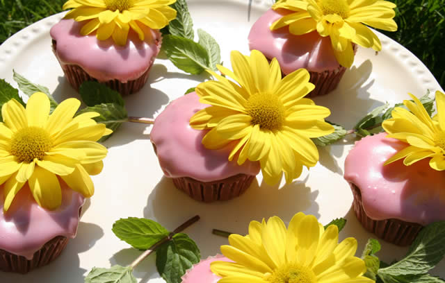 Squidgy Chocolate and Beetroot Muffins with Rosy Pink Icing