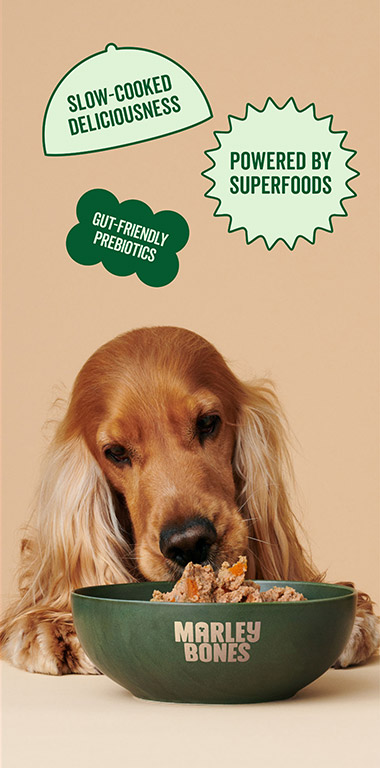 Slow Cooked Deliciousness, Powered By Superfoods, Gut-Friendly Prebiotics