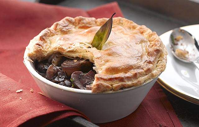 Chestnut Bourguignonne Pie