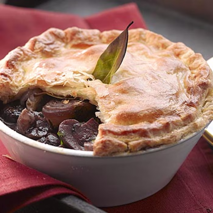 Chestnut Bourguignonne Pie