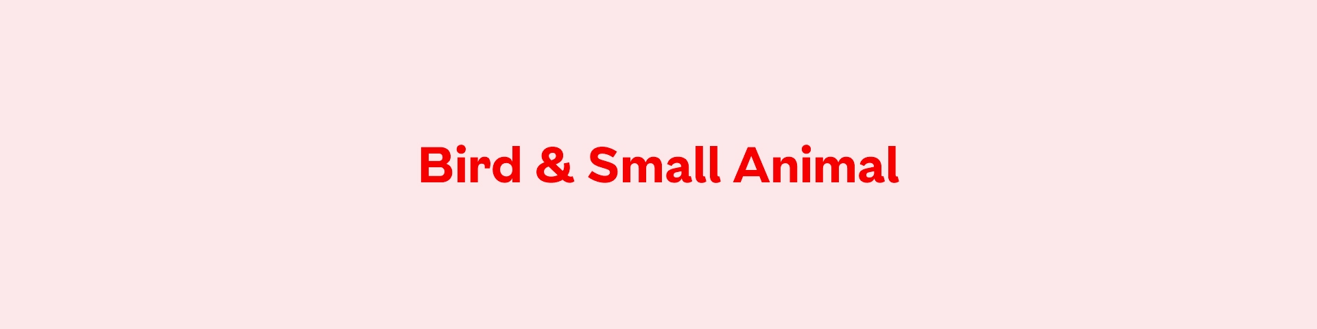 Bird & Small Animal