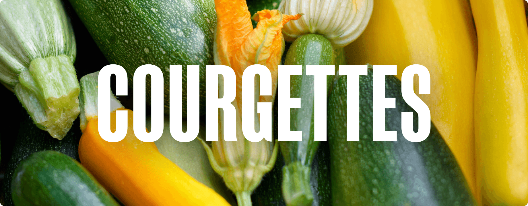 In Season Courgettes