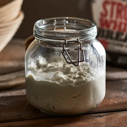 Sourdough Starter