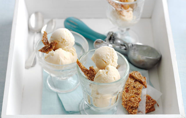 Rowse Honey and Goat's Milk Ice Cream with Pastellli Garnish