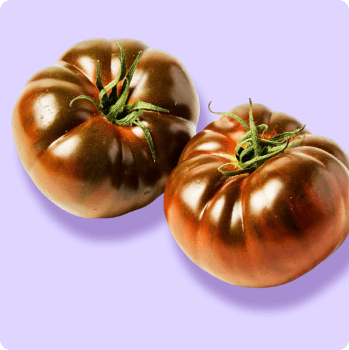 Winter tomatoes in season
