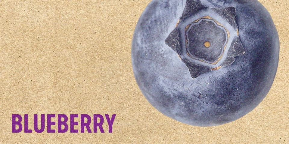 Blueberry