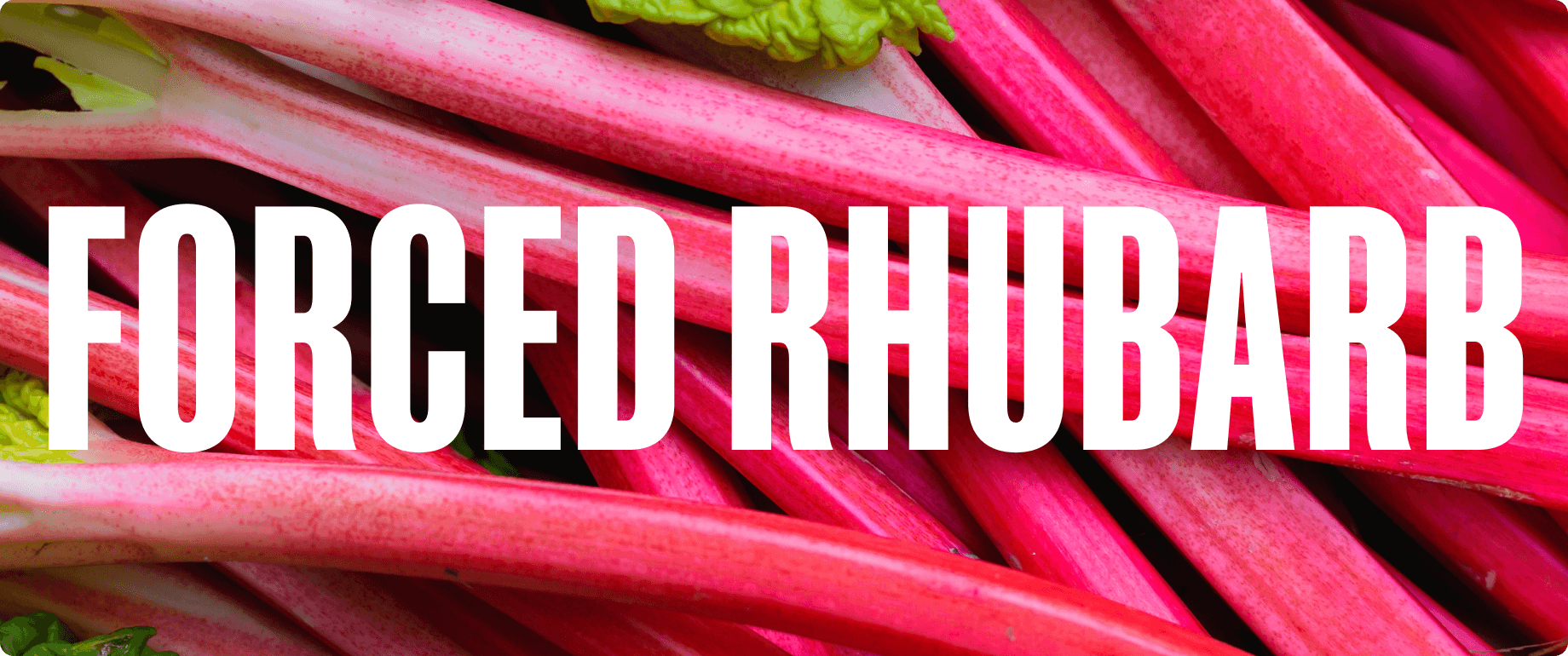 Forced Rhubarb Hero