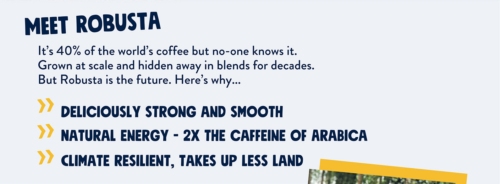 Meet Robusta - It's 40% of the world's coffee but no-one knows it. Grown at scale and hidden away in blends for decades. But Robusta is the future. Here's why... Deliciously strong and smooth | Natural energy - 2 times the caffeine of arabica | Climate resistant, takes up less land