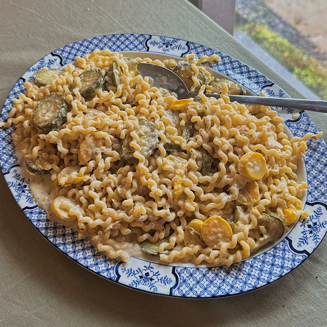 Courgette and Preserved Lemon Fusilli Lunghi