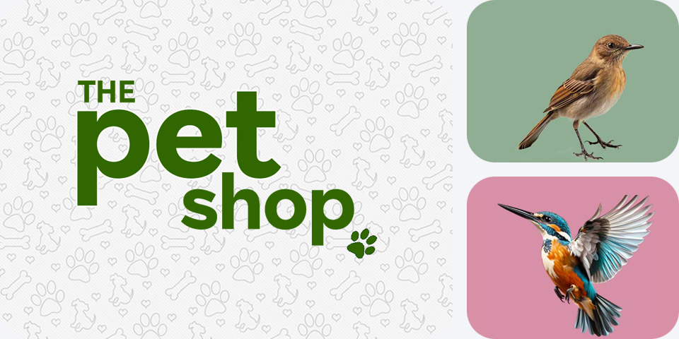 The Pet Shop - Wild Bird