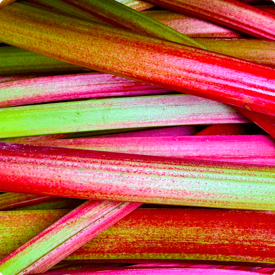 Rhubarb facts graphic