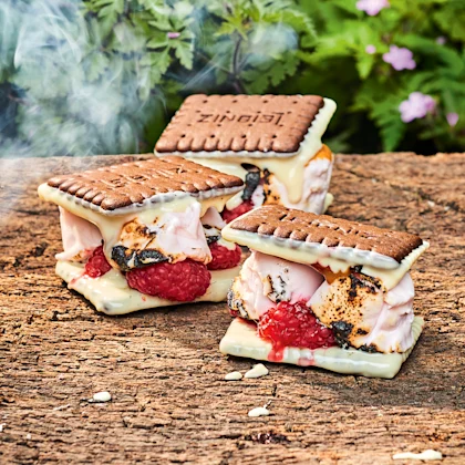 Smoky White Chocolate and Raspberry S’mores