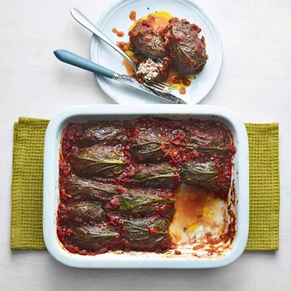 Lamb and feta stuffed kale dolma with tomato sauce and pilaf