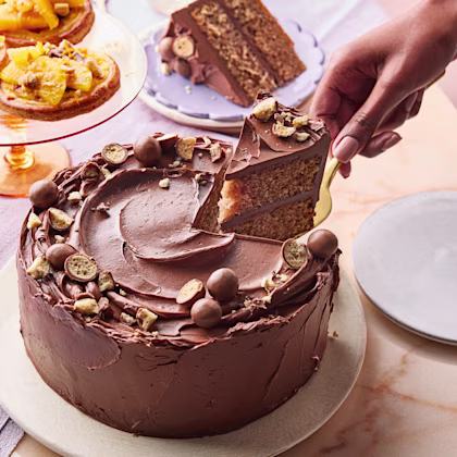 Chocolate Malt Cake
