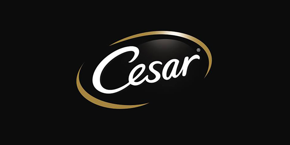 The Pet Shop - Cesar