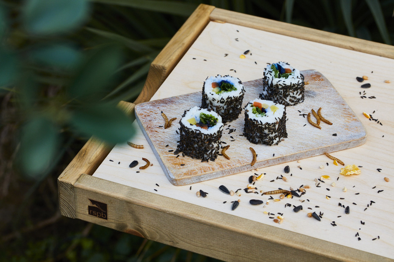 Seedy Sushi