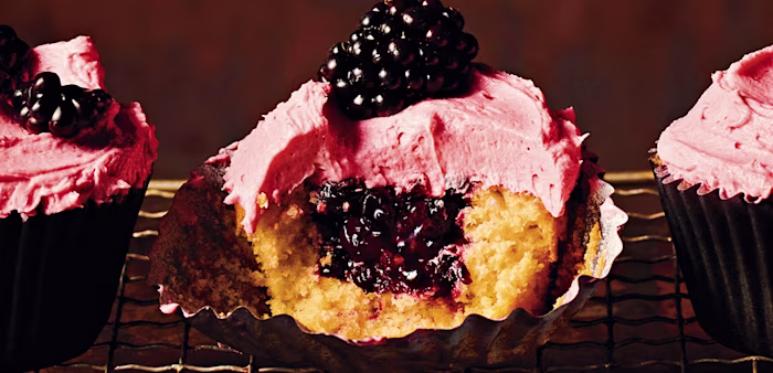 Cupcake Recipes