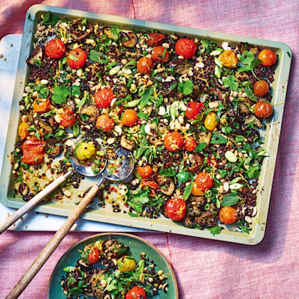 Crispy Lentil Traybake with Aubergine and Herbs