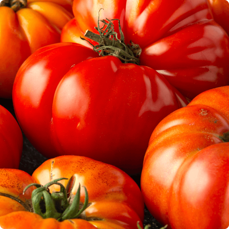 Large ripe red tomatoes