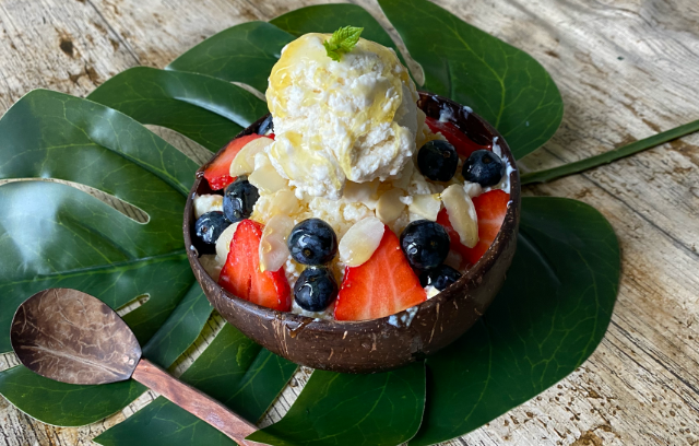 Soyaberry Shaved Ice