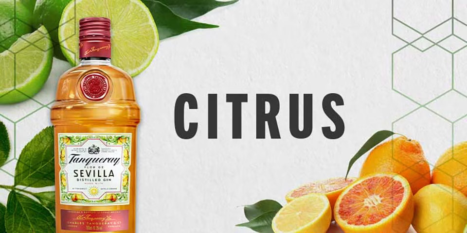 Explore Gin - Citrus