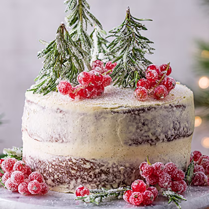 Frosted Forest Cake Topping