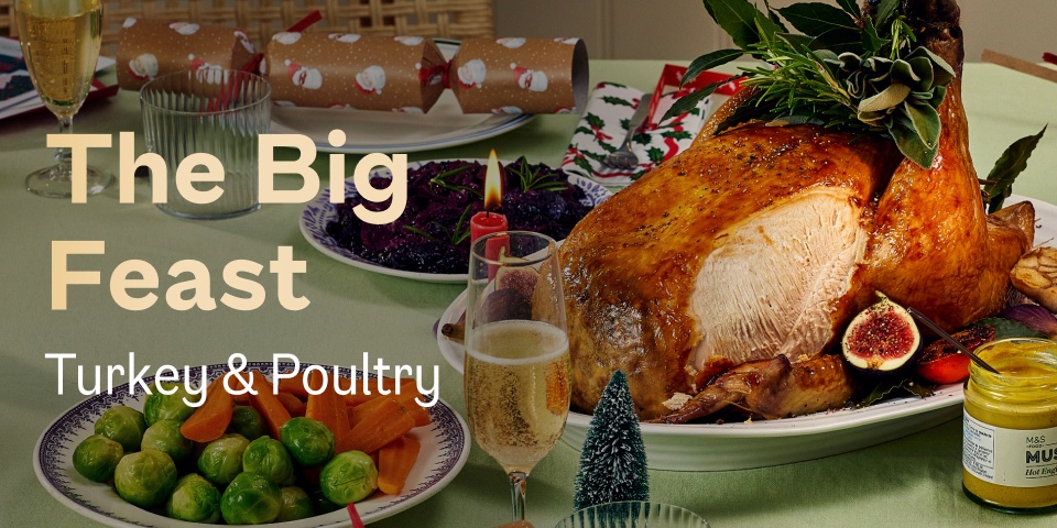 Turkey & Poultry
