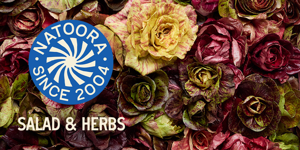 Natoora - Salad & Herbs