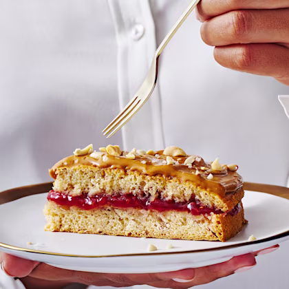 Vegan Peanut Butter and Jam Sandwich Cake