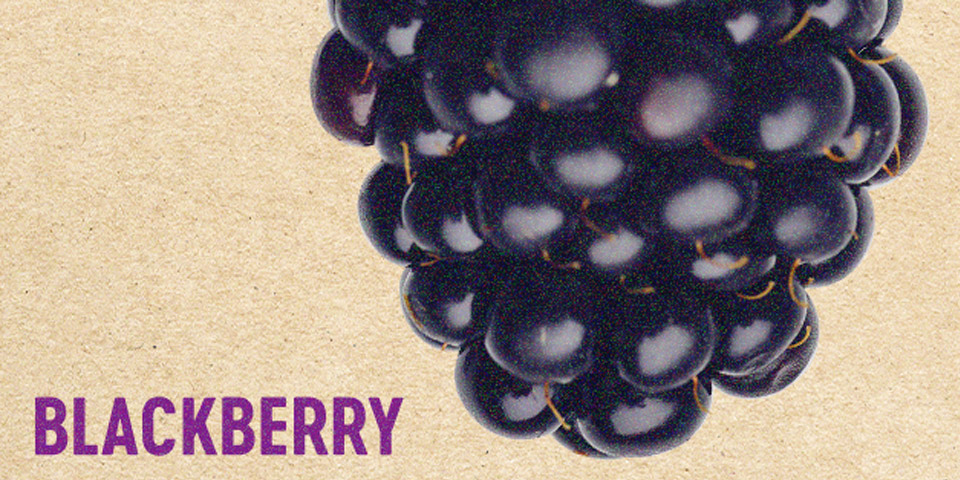 Blackberry