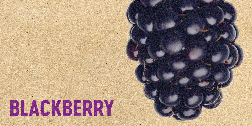 Blackberry